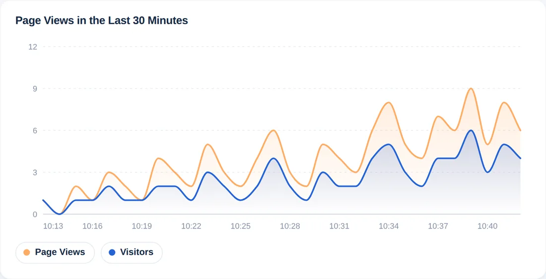 Diagramm der Seitenaufrufe und Besucher für jede Minute der letzten 30 Minuten